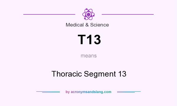 What does T13 mean? It stands for Thoracic Segment 13