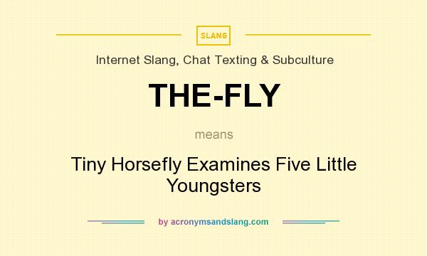 What does THE-FLY mean? It stands for Tiny Horsefly Examines Five Little Youngsters