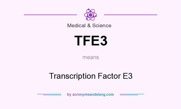 What does TFE3 mean? It stands for Transcription Factor E3