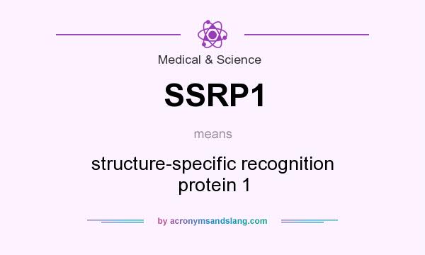 What does SSRP1 mean? It stands for structure-specific recognition protein 1
