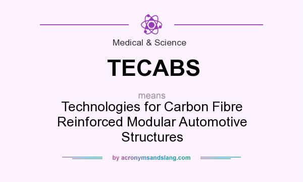 What does TECABS mean? It stands for Technologies for Carbon Fibre Reinforced Modular Automotive Structures