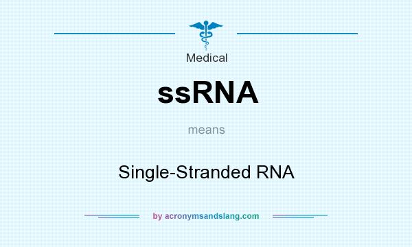 What does ssRNA mean? It stands for Single-Stranded RNA