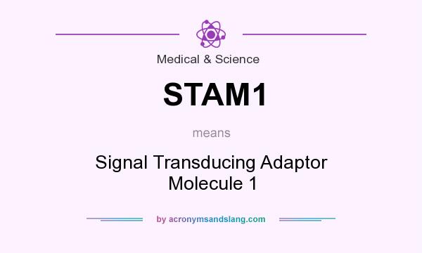 What does STAM1 mean? It stands for Signal Transducing Adaptor Molecule 1