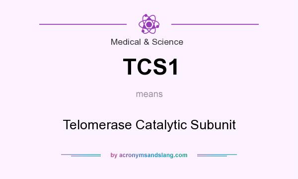 What does TCS1 mean? It stands for Telomerase Catalytic Subunit