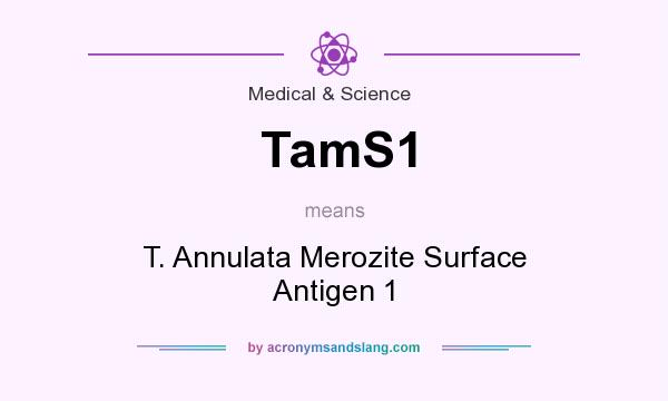 What does TamS1 mean? It stands for T. Annulata Merozite Surface Antigen 1