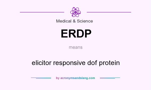 What does ERDP mean? It stands for elicitor responsive dof protein