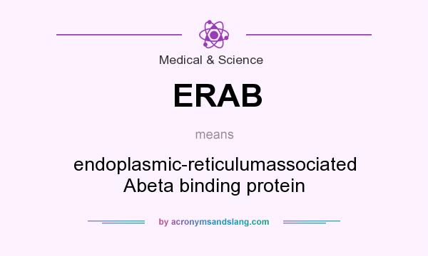 What does ERAB mean? It stands for endoplasmic-reticulumassociated Abeta binding protein