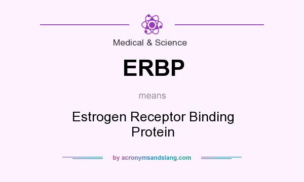 What does ERBP mean? It stands for Estrogen Receptor Binding Protein