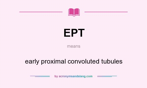 What does EPT mean? It stands for early proximal convoluted tubules