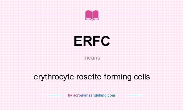 What does ERFC mean? It stands for erythrocyte rosette forming cells