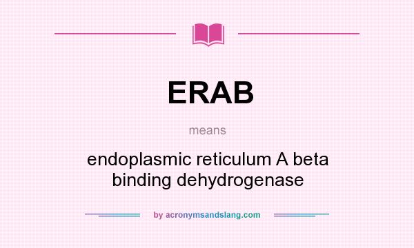 What does ERAB mean? It stands for endoplasmic reticulum A beta binding dehydrogenase