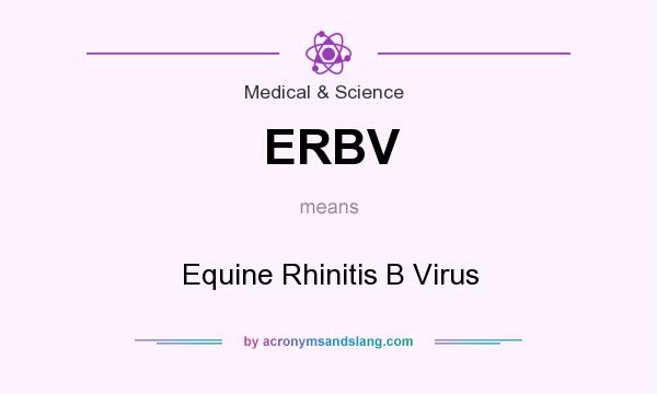 What does ERBV mean? It stands for Equine Rhinitis B Virus