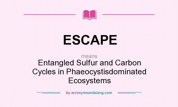What does ESCAPE mean? It stands for Entangled Sulfur and Carbon Cycles in Phaeocystisdominated Ecosystems