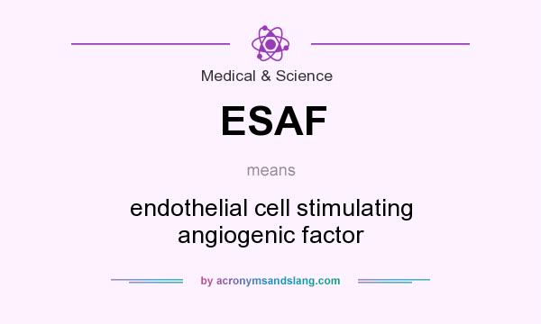 What does ESAF mean? It stands for endothelial cell stimulating angiogenic factor