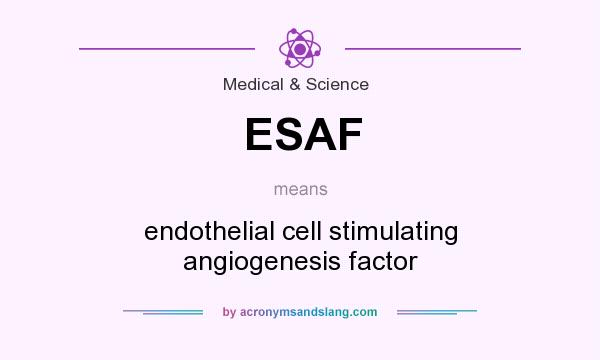 What does ESAF mean? It stands for endothelial cell stimulating angiogenesis factor