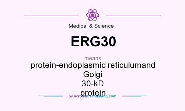 What does ERG30 mean? It stands for protein-endoplasmic reticulumand Golgi 30-kD protein