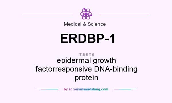 What does ERDBP-1 mean? It stands for epidermal growth factorresponsive DNA-binding protein