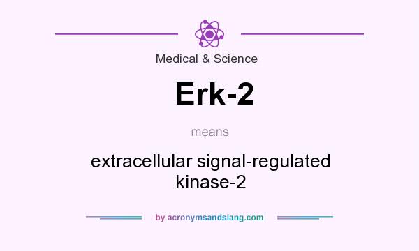 What does Erk-2 mean? It stands for extracellular signal-regulated kinase-2