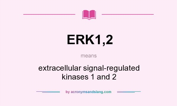 What does ERK1,2 mean? It stands for extracellular signal-regulated kinases 1 and 2