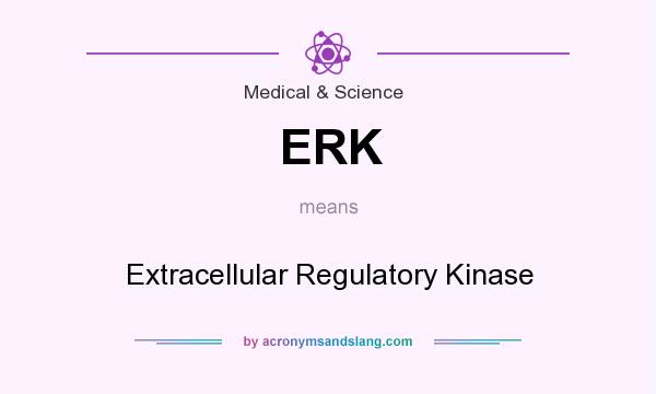 What does ERK mean? It stands for Extracellular Regulatory Kinase