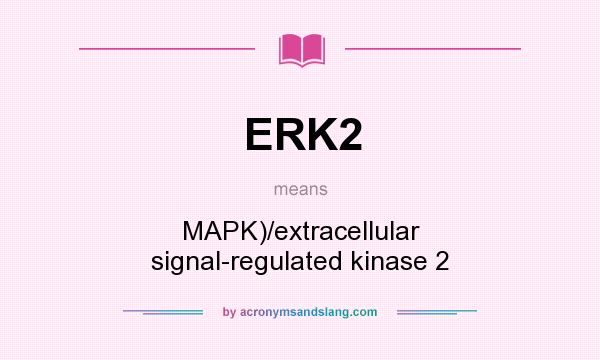 What does ERK2 mean? It stands for MAPK)/extracellular signal-regulated kinase 2