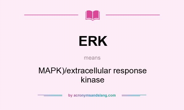 What does ERK mean? It stands for MAPK)/extracellular response kinase