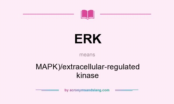 What does ERK mean? It stands for MAPK)/extracellular-regulated kinase