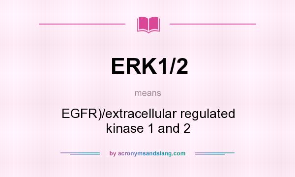What does ERK1/2 mean? It stands for EGFR)/extracellular regulated kinase 1 and 2