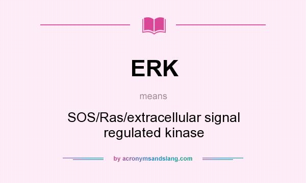 What does ERK mean? It stands for SOS/Ras/extracellular signal regulated kinase