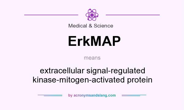What does ErkMAP mean? It stands for extracellular signal-regulated kinase-mitogen-activated protein