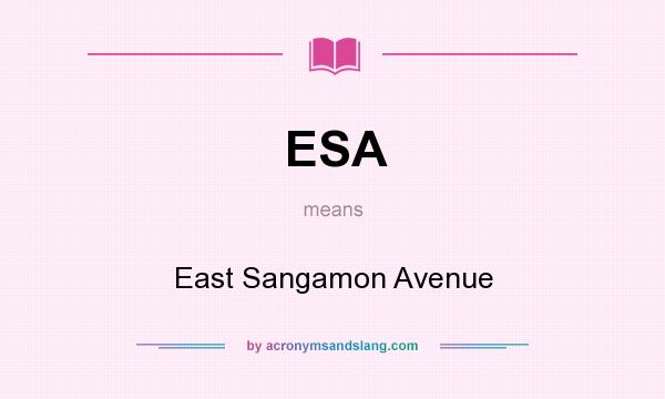 What does ESA mean? It stands for East Sangamon Avenue