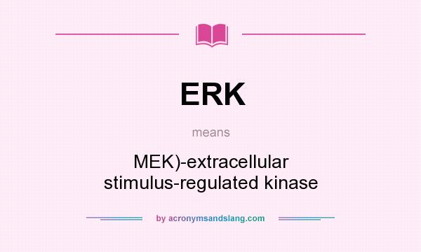 What does ERK mean? It stands for MEK)-extracellular stimulus-regulated kinase