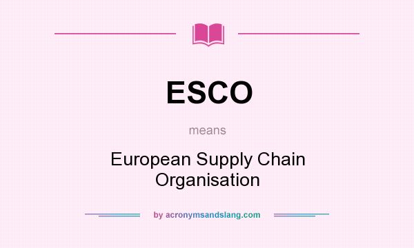 What does ESCO mean? It stands for European Supply Chain Organisation