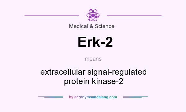 What does Erk-2 mean? It stands for extracellular signal-regulated protein kinase-2