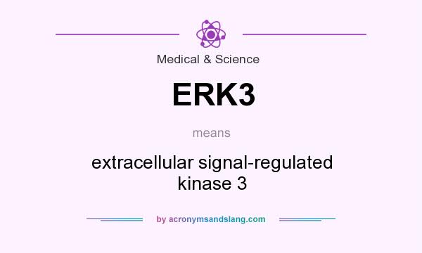 What does ERK3 mean? It stands for extracellular signal-regulated kinase 3