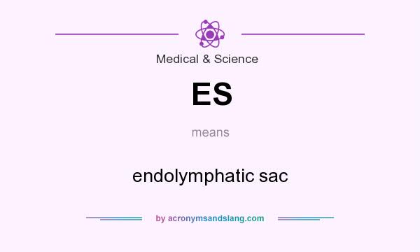 What does ES mean? It stands for endolymphatic sac