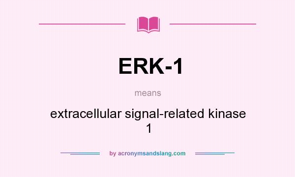 What does ERK-1 mean? It stands for extracellular signal-related kinase 1