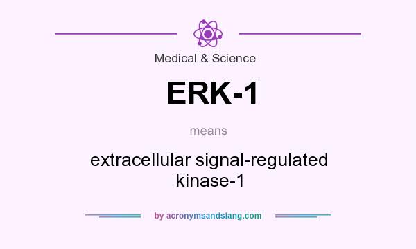 What does ERK-1 mean? It stands for extracellular signal-regulated kinase-1