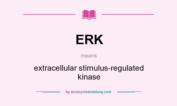 What does ERK mean? It stands for extracellular stimulus-regulated kinase
