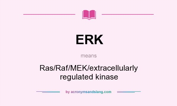 What does ERK mean? It stands for Ras/Raf/MEK/extracellularly regulated kinase