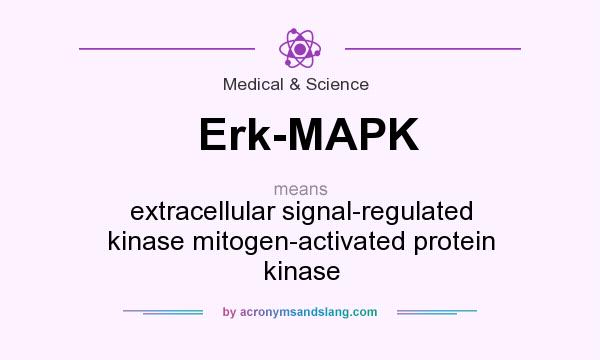 What does Erk-MAPK mean? It stands for extracellular signal-regulated kinase mitogen-activated protein kinase