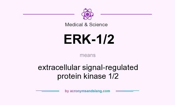 What does ERK-1/2 mean? It stands for extracellular signal-regulated protein kinase 1/2