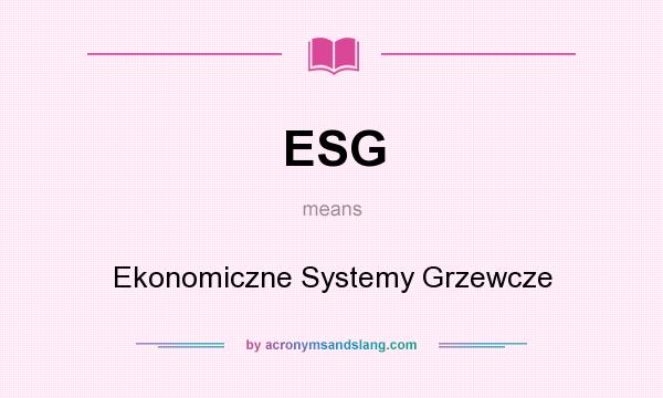 What does ESG mean? It stands for Ekonomiczne Systemy Grzewcze