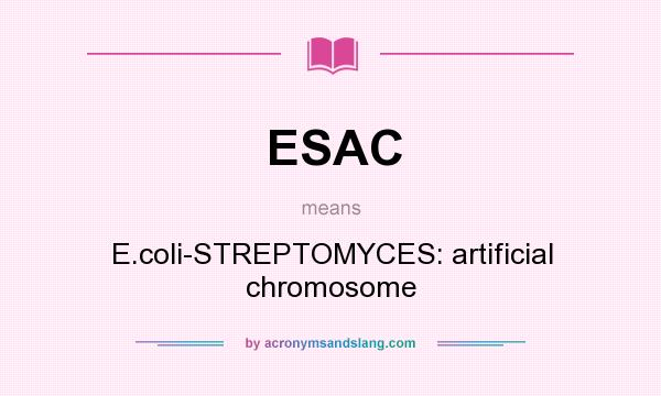 What does ESAC mean? It stands for E.coli-STREPTOMYCES: artificial chromosome
