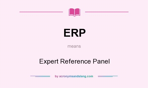 What does ERP mean? It stands for Expert Reference Panel