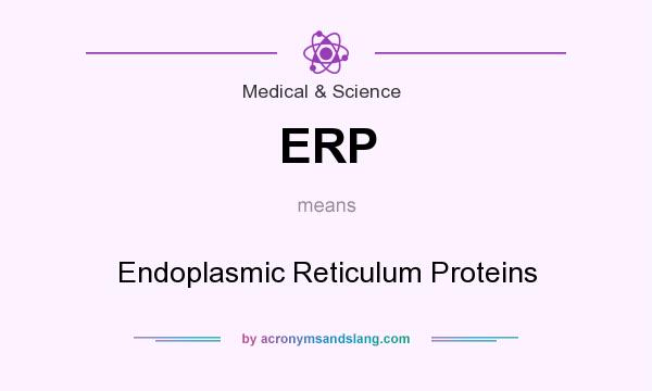 What does ERP mean? It stands for Endoplasmic Reticulum Proteins