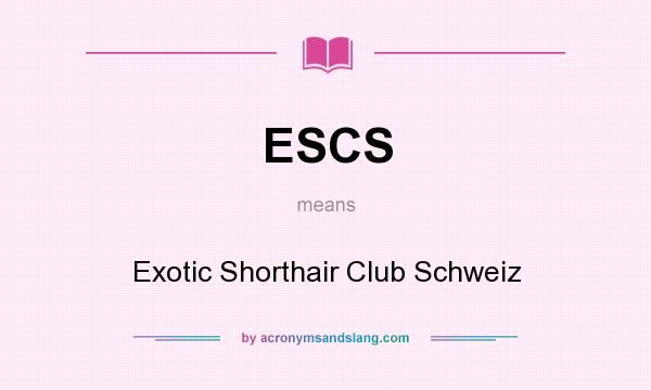 What does ESCS mean? It stands for Exotic Shorthair Club Schweiz