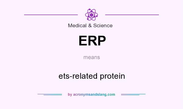 What does ERP mean? It stands for ets-related protein