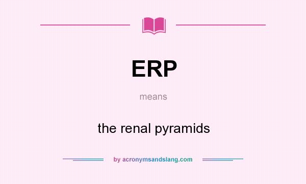 What does ERP mean? It stands for the renal pyramids