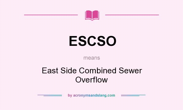 What does ESCSO mean? It stands for East Side Combined Sewer Overflow
